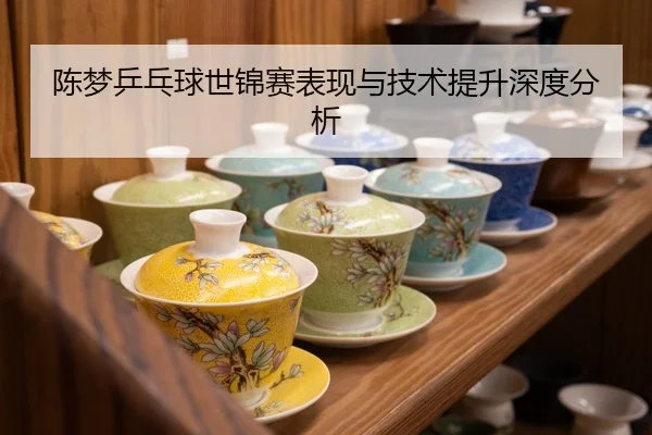 陈梦乒乓球世锦赛表现与技术提升深度分析