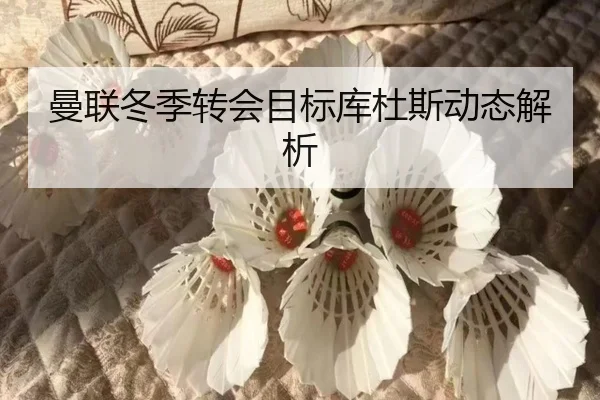 曼联冬季转会目标库杜斯动态解析